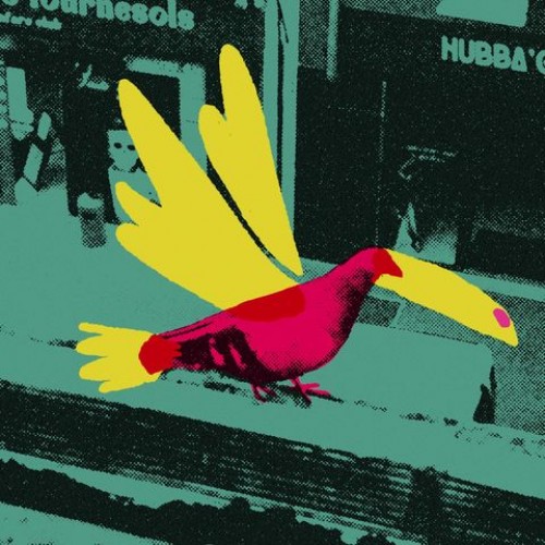 Le Toucan Magique - 22H