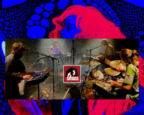 6 Singes - 22H