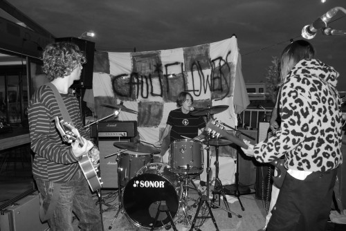 The Cauliflowers - 22H