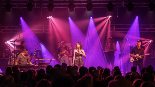 17 ans de Coota avec Cut the Alligator - 22H